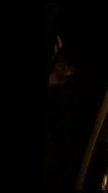 Шум при нажатии на педаль тормоза XRAY CROSS. смотреть онлайн