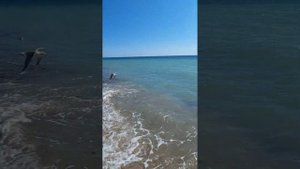 море Крым заозерное