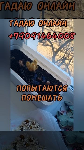 27 марта.
АСТРОЛОГИЯ ДНЯ.

Склоны применять силовые методы при решении .
(Решительность пойдет в пол