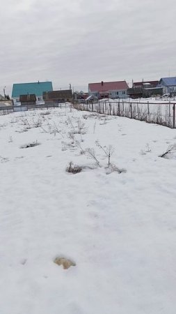 1000085573.mp4