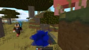 КАК МЕНЯЛСЯ СОНИК И ЕГО ЖИЗНЕННЫЙ ЦИКЛ В МАЙНКРАФТ/ЭВОЛЮЦИЯ СОНИКА В MINECRAFT/SONIC
