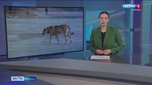 Эфир от 26.03.2025 (21:10)