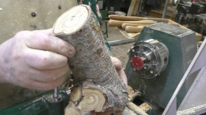 Вишнёвая ваза для сухоцветов с гнильцой и грибами.