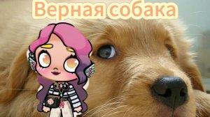 Верная собака. 5 серия.