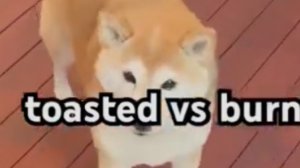 Фигня какая-то