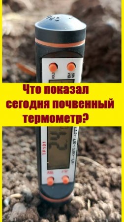 Измерила температуру почвы в теплице - там всего 2-3 градуса, сеять еще рано!