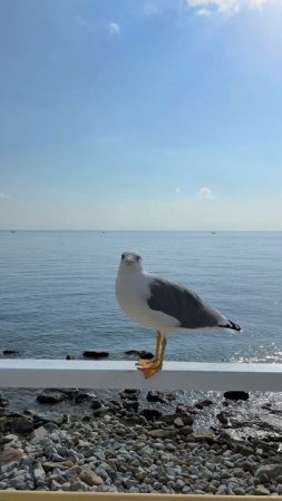 Ключи уже в этом году – жить у моря проще, чем кажется