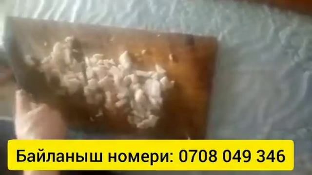 Каздын майынын ден соолукка пайдасы смотреть онлайн