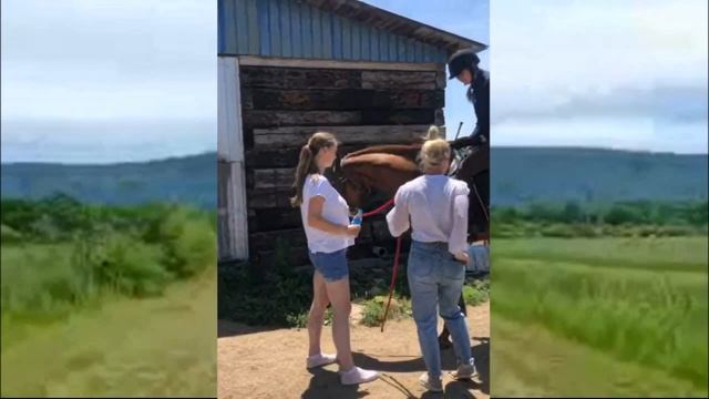 Лошадь КИРА:  путь к победе