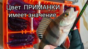 БЕШЕННЫЙ КЛЁВ на УЛЬТРАЛАЙТ , перед НЕРЕСТОВЫМ ЗАПРЕТОМ