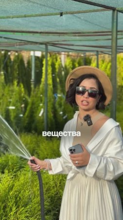 СУПЕРсредство: Никогда Не Выбрасывайте Луковую Шелуху!