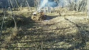 Рабыня своего участка..