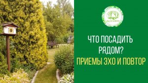 Что посадить рядом?  Приём составления композиций Повтор и Эхо