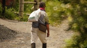 Притчи о безразличие: Мышь и мышеловка | Это не мое дело.