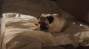 Доброе утро ☀️