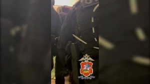 Пять жителей городского округа Истра задержаны полицейскими Подмосковья за вымогательство и грабёж