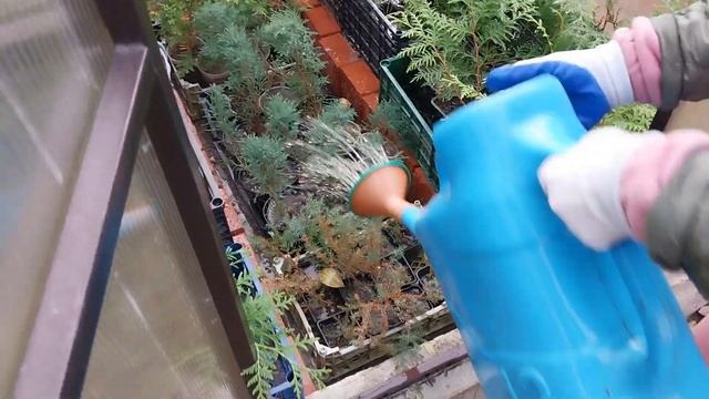 Подготовка Сада к Зиме.