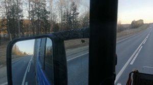 С Ярославля, подъезд к городу Данилов.