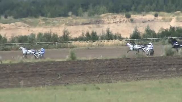 Воронежский ипподром. 23.07.2016 №1 выиграл Имперфект Виз смотреть онлайн