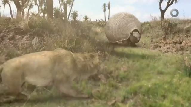 Gran hallazgo Prehistorico: Glyptodon Santiagueño смотреть онлайн