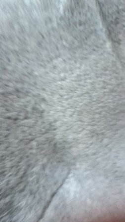 1000027669.mp4