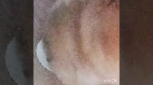 Все в Нашем доме на ПП😄