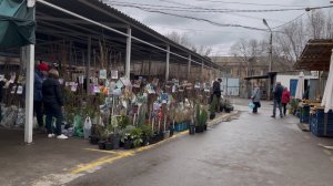 Когда в делах твоих порядок, Когда душа твоя поет,
Не сомневайся
тот, кто злой все это обосрет!