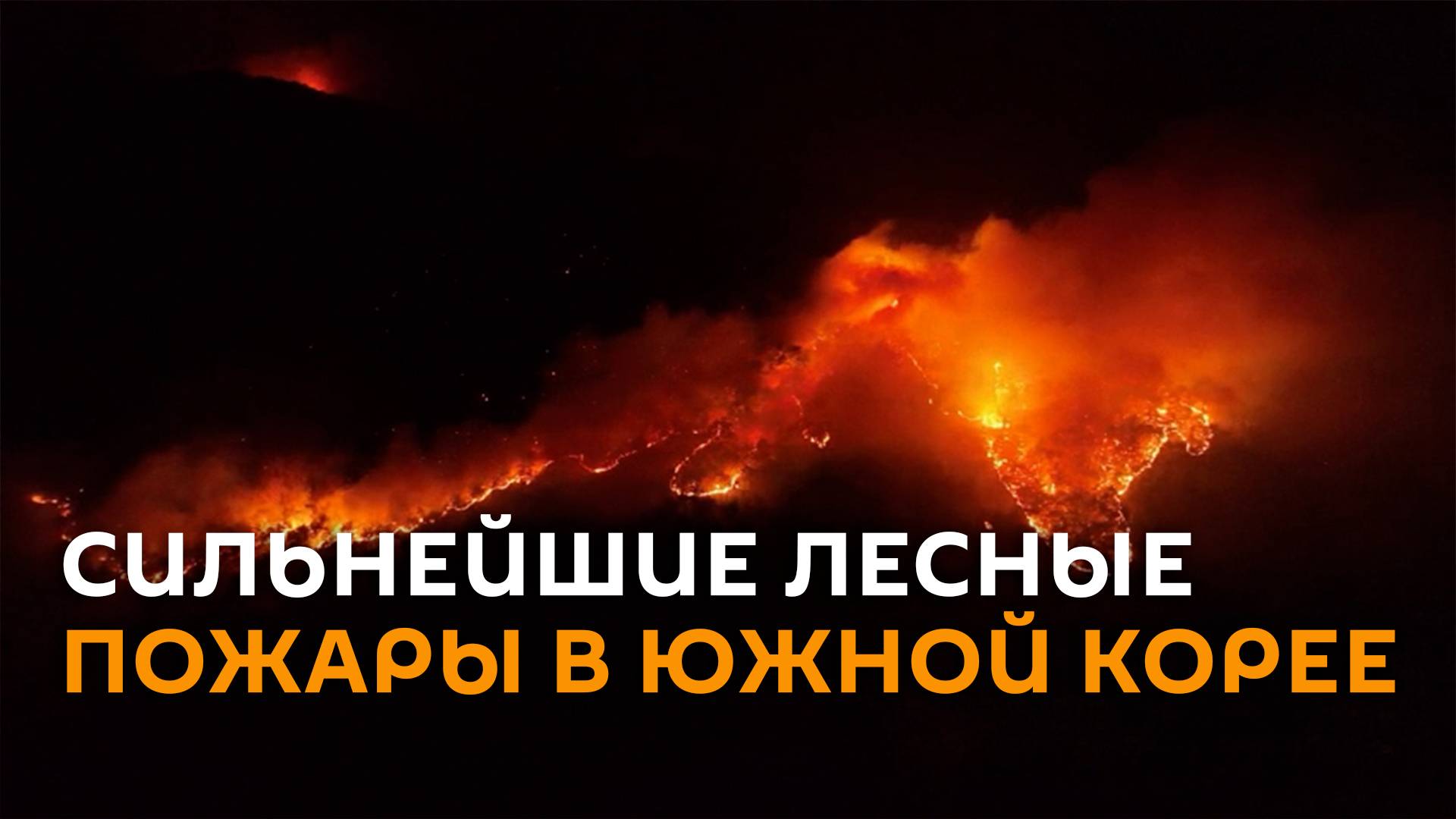 Огненные кадры: сильнейшие в истории лесные пожары бушуют в Южной Корее