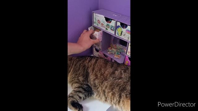 Мой рабочий стол 💗💗💗 смотреть онлайн