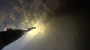 Подводная охота на сазана. Май