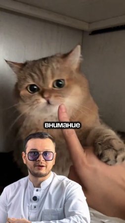 Вся правда о британцах