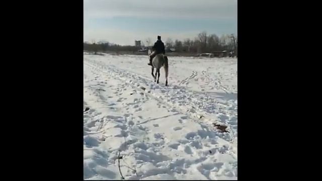 Снова в седле!