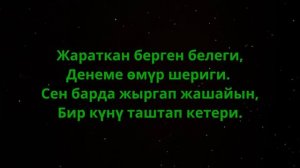 Гулжигит Сатыбеков Омур Текст Караоке #KyrgyzTvmix