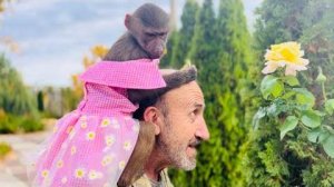 Посмотрите какая КРАСИВАЯ Люська любуется цветами сидя на Влада шее)))