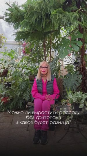 Можно ли вырастить рассаду без фитоламп? Стоит ли выращивать свои овощи самим? 🌱