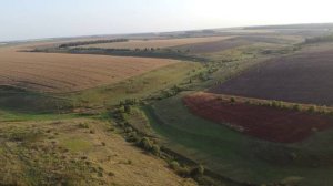 Тульская область. Чернский район. Окрестности села Липицы-Зыбино. 02