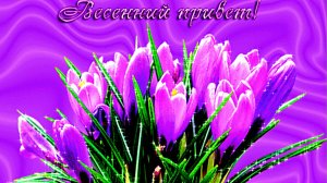 Весна.Золотой Аккордеон.