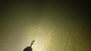 Ночная охота в черном море с острогой