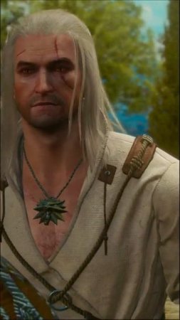 Меч Ольгерда  Ирис  The Witcher 3 Ведьмак 3 Shorts