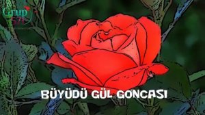 571 bir guneş doğdu