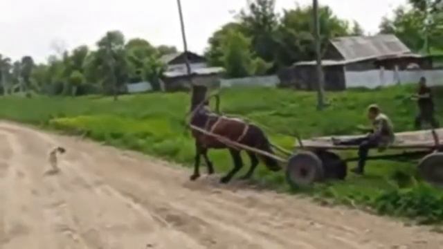 Д.  САША,  вечная память!