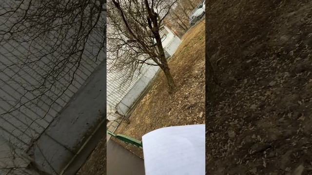 Комиссия Школьная 84/2 придомовая территория и двор