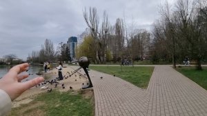 Крым 2025, Симферополь, Гагаринский парк, весна пришла