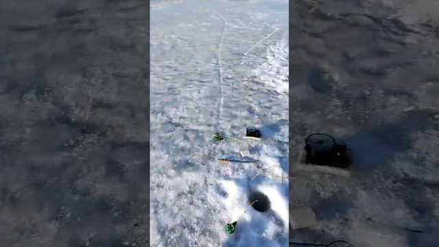 27-03-2025 смотреть онлайн