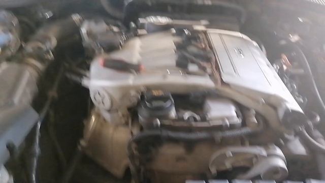 petal_20250326_182847.mp4