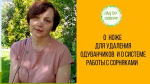 Про нож для удаления одуванчиков и о системе работы с сорняками