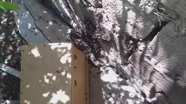 ТРУТОВКА....1 смотреть онлайн