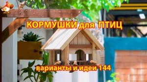 Кормушка для птиц своими руками как сделать пошагово  (144) 🪚🪛🔨 Идеи для дачи и сада❣️