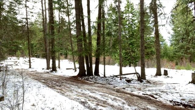 лодка квадрик