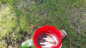 Астрахань рыбалит